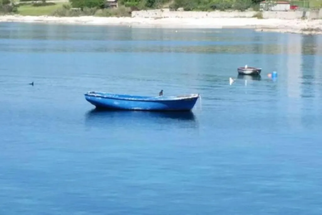 Apartment Damir 50 Meters From The Beach 普拉