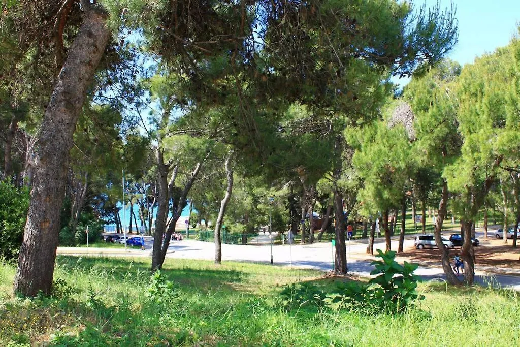 Apartment Damir 50 Meters From The Beach 普拉 0*,  克罗地亚
